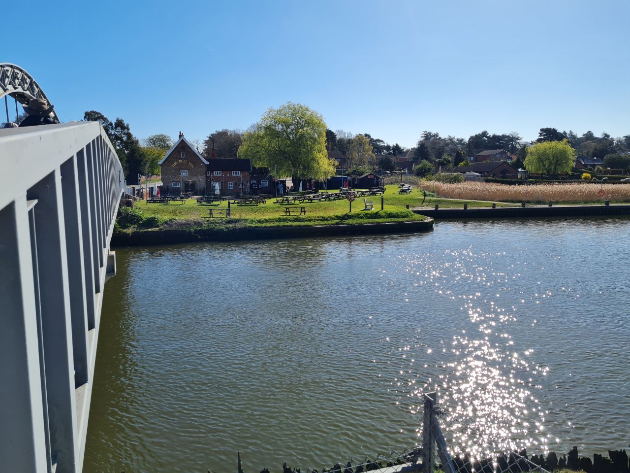 2025-04-06 05 Waveney Forest and Redwings.jpg