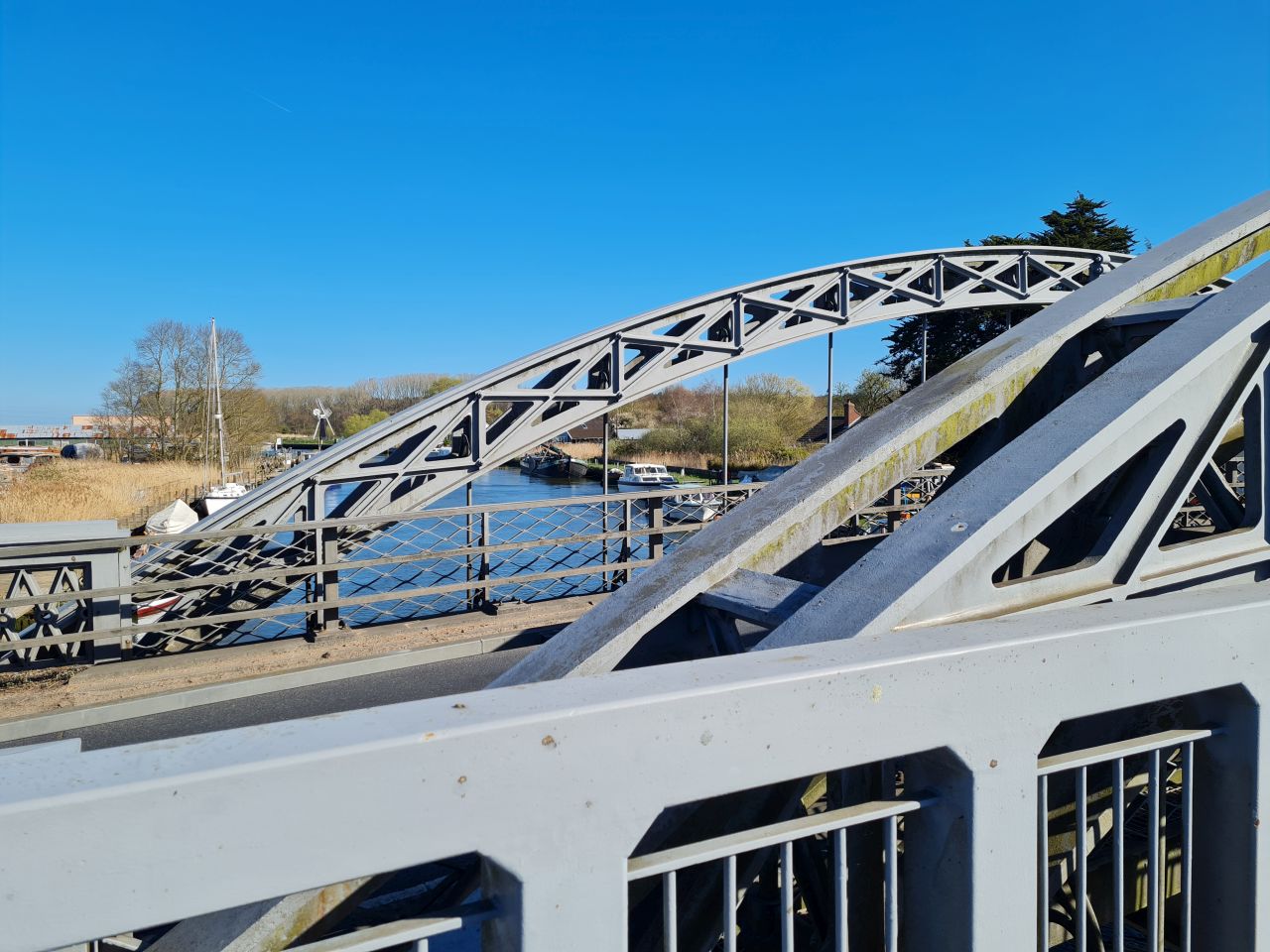 2025-04-06 06 Waveney Forest and Redwings.jpg