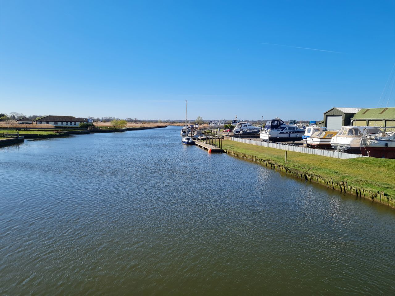 2025-04-06 07 Waveney Forest and Redwings.jpg