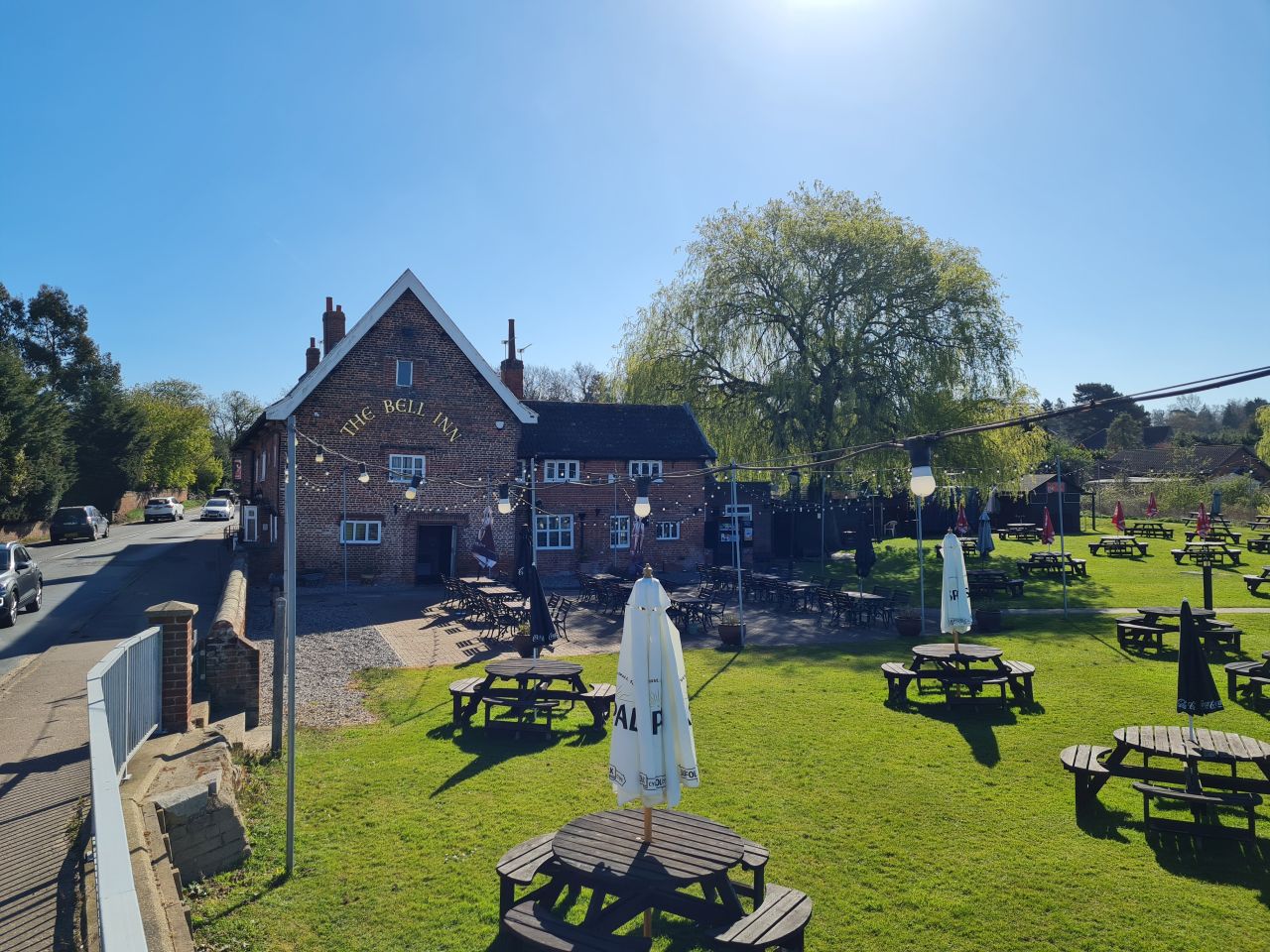 2025-04-06 08 Waveney Forest and Redwings.jpg