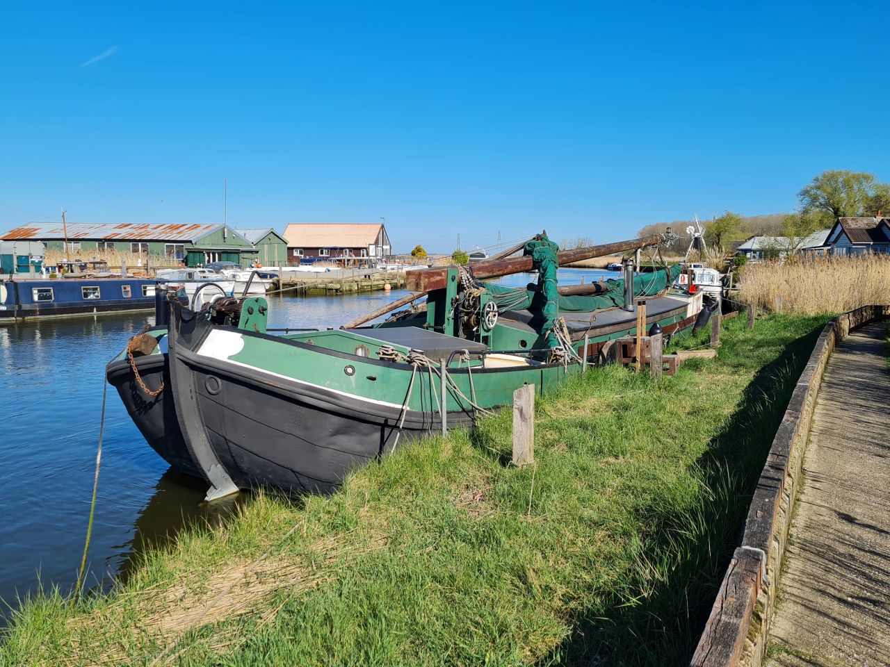 2025-04-06 12 Waveney Forest and Redwings.jpg