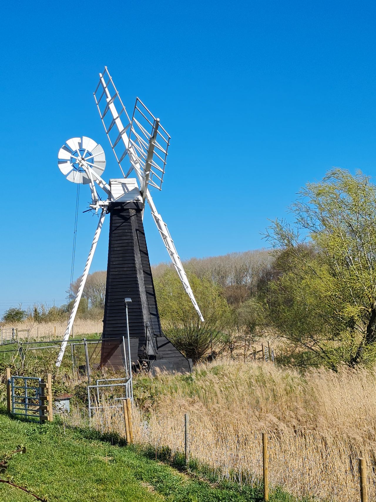 2025-04-06 13 Waveney Forest and Redwings.jpg