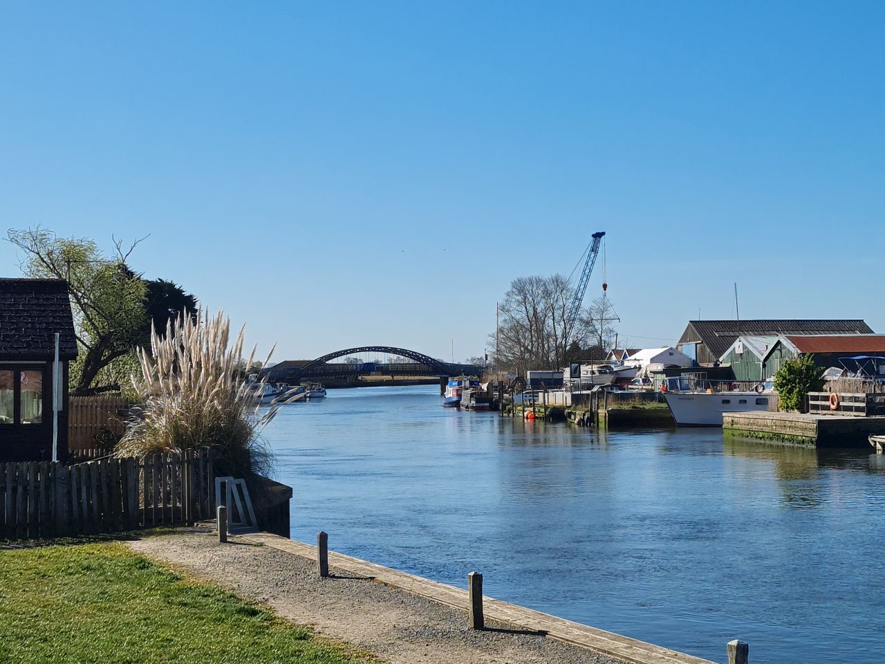 2025-04-06 14 Waveney Forest and Redwings.jpg