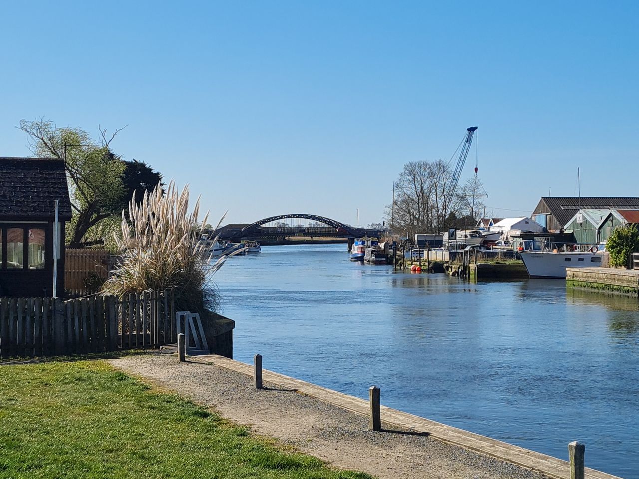 2025-04-06 15 Waveney Forest and Redwings.jpg