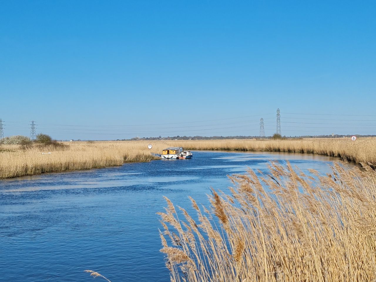 2025-04-06 16 Waveney Forest and Redwings.jpg