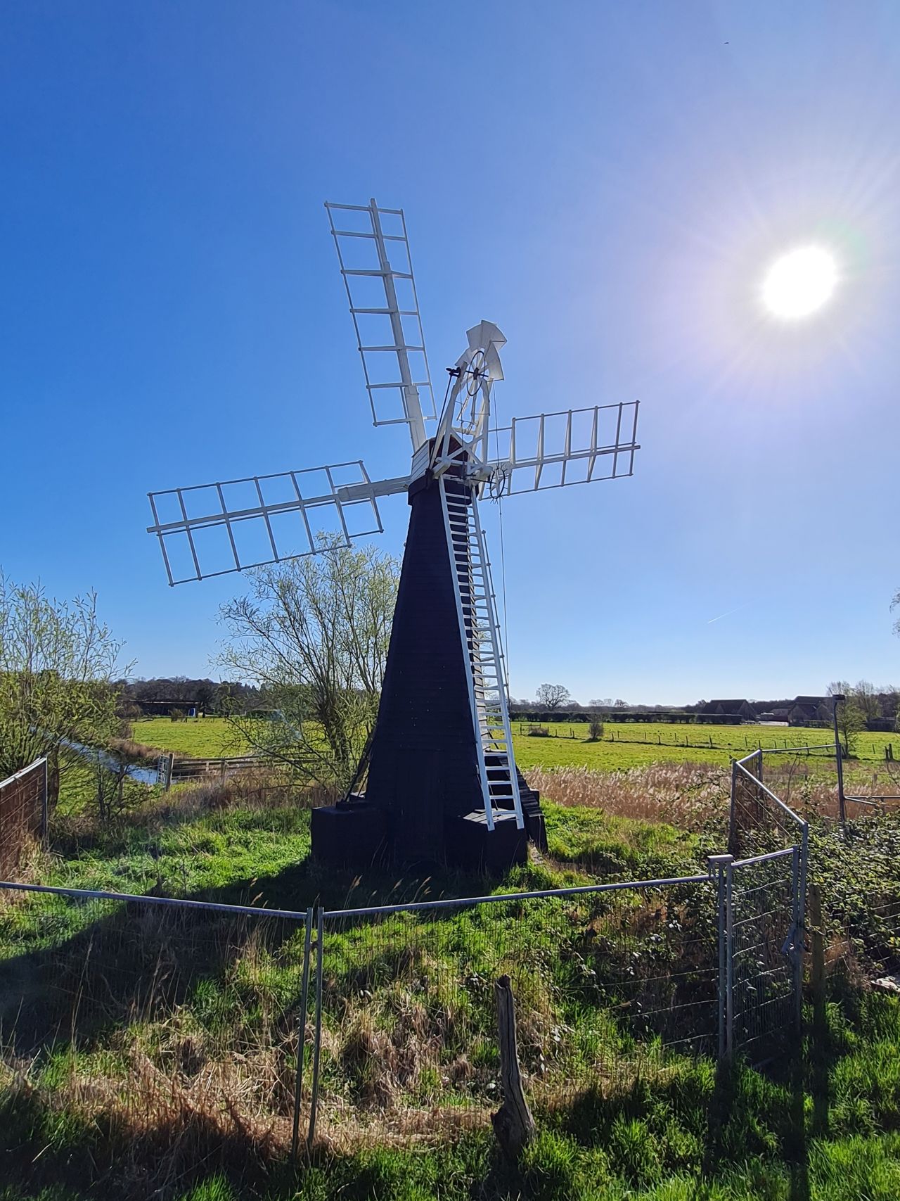 2025-04-06 17 Waveney Forest and Redwings.jpg