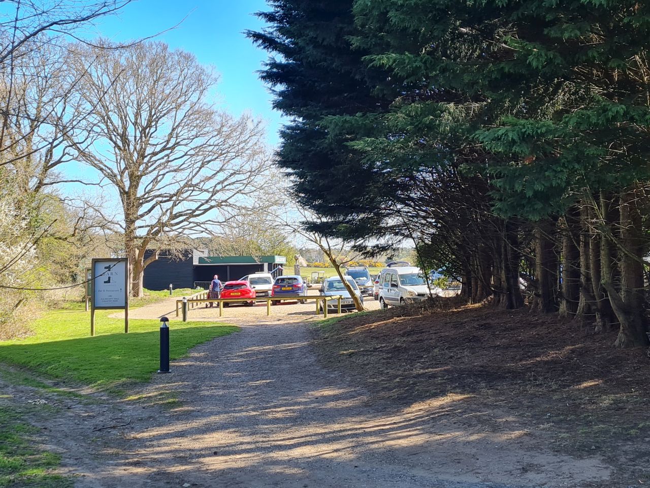 2025-04-06 28 Waveney Forest and Redwings.jpg