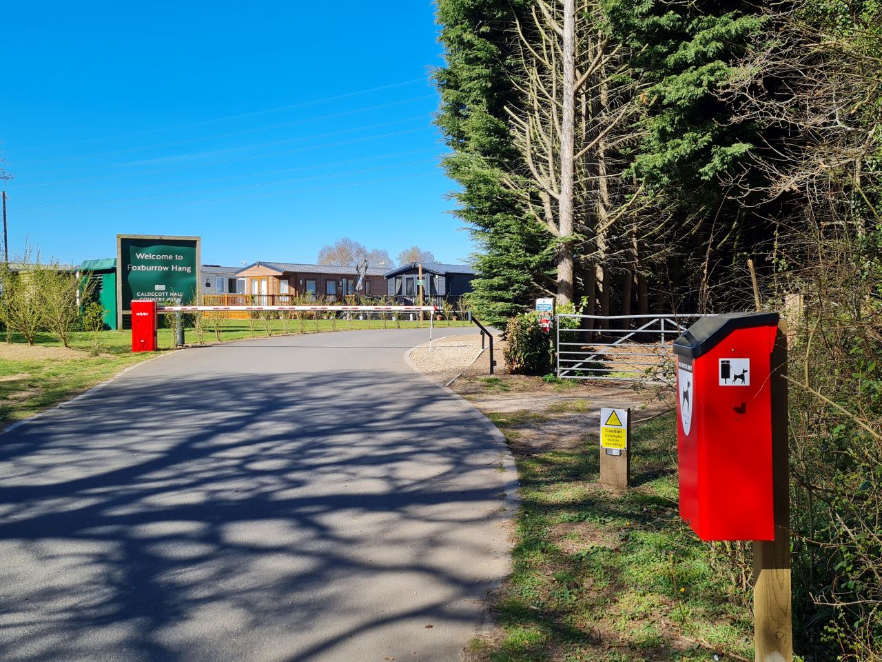 2025-04-06 29 Waveney Forest and Redwings.jpg