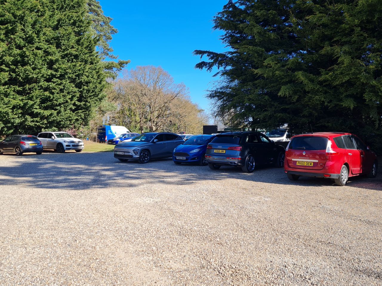 2025-04-06 30 Waveney Forest and Redwings.jpg