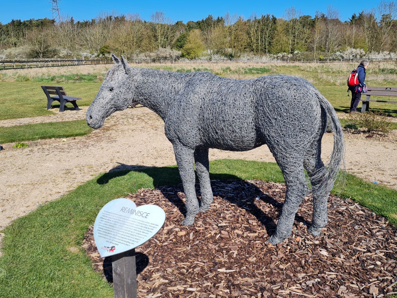 2025-04-06 33 Waveney Forest and Redwings.jpg