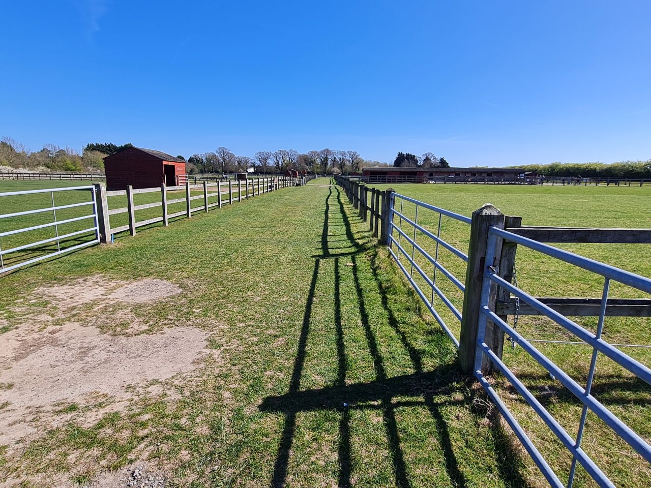 2025-04-06 34 Waveney Forest and Redwings.jpg
