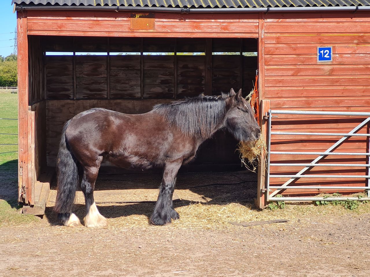 2025-04-06 36 Waveney Forest and Redwings.jpg