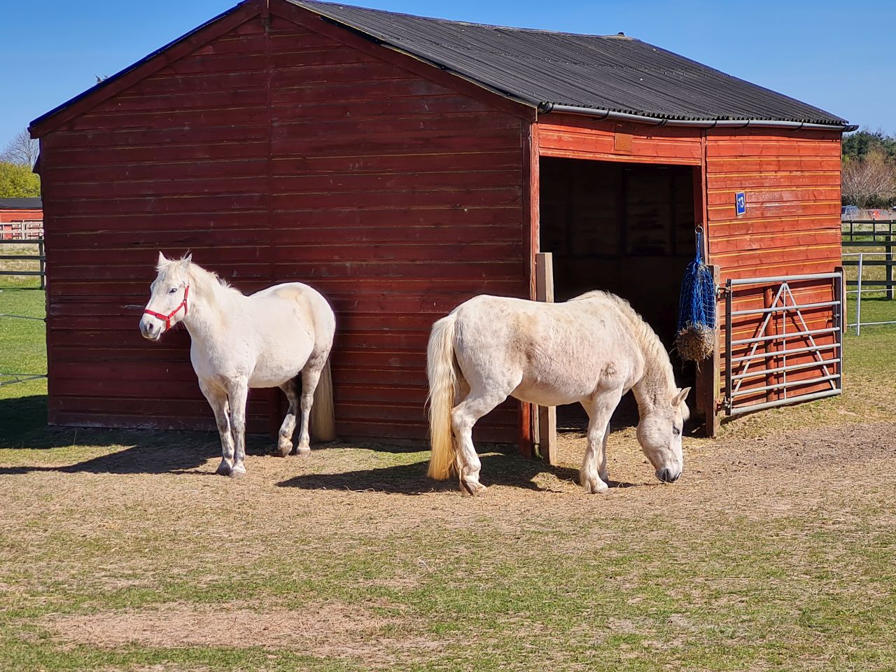 2025-04-06 37 Waveney Forest and Redwings.jpg