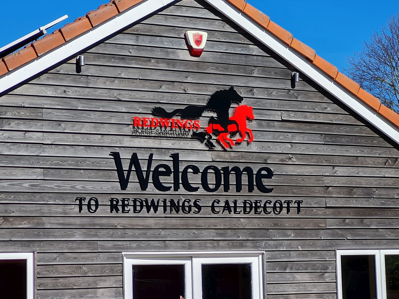 2025-04-06 40 Waveney Forest and Redwings.jpg