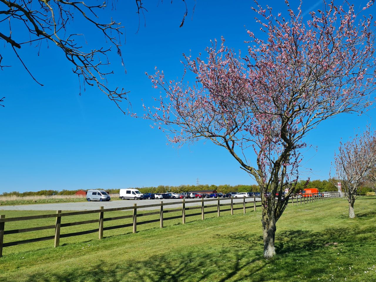 2025-04-06 42 Waveney Forest and Redwings.jpg