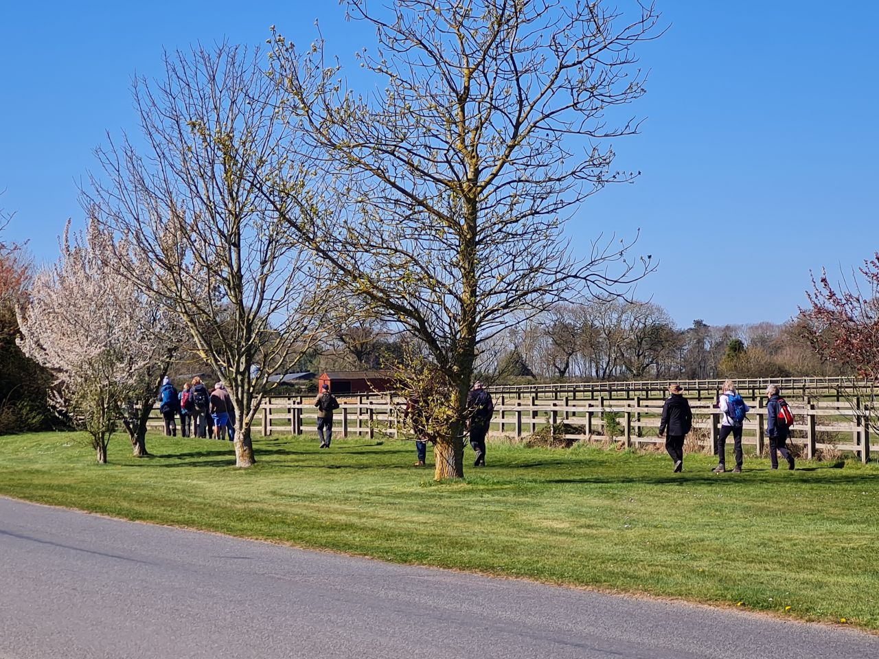 2025-04-06 45 Waveney Forest and Redwings.jpg