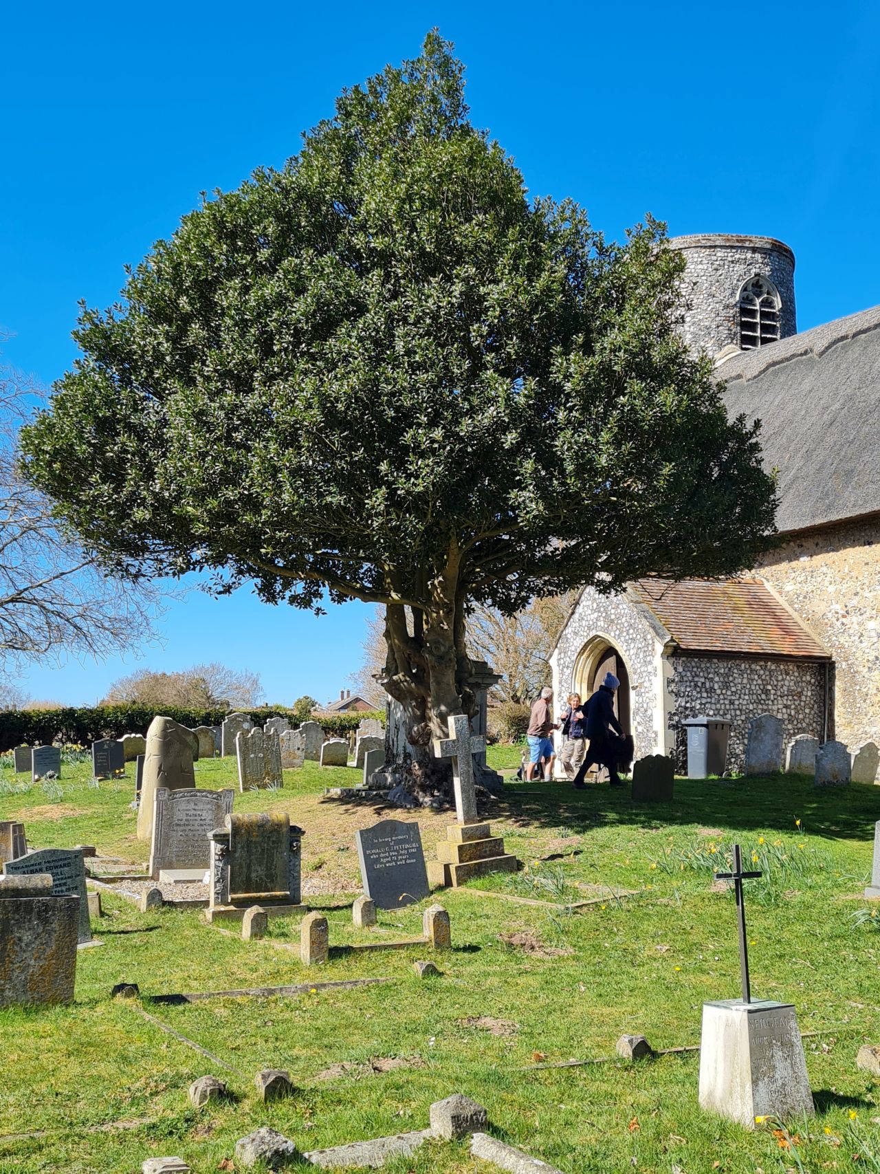 2025-04-06 50 Fritton Saint Edmund.jpg