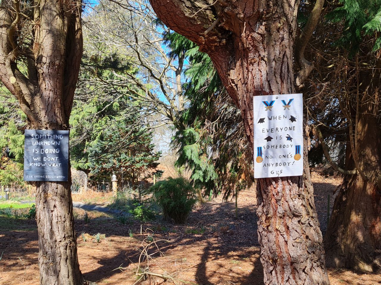 2025-04-06 70 Waveney Forest and Redwings.jpg