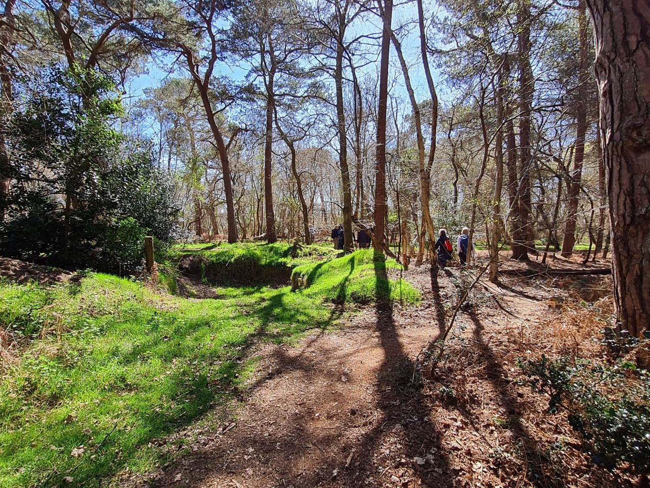 2025-04-06 73 Waveney Forest and Redwings.jpg