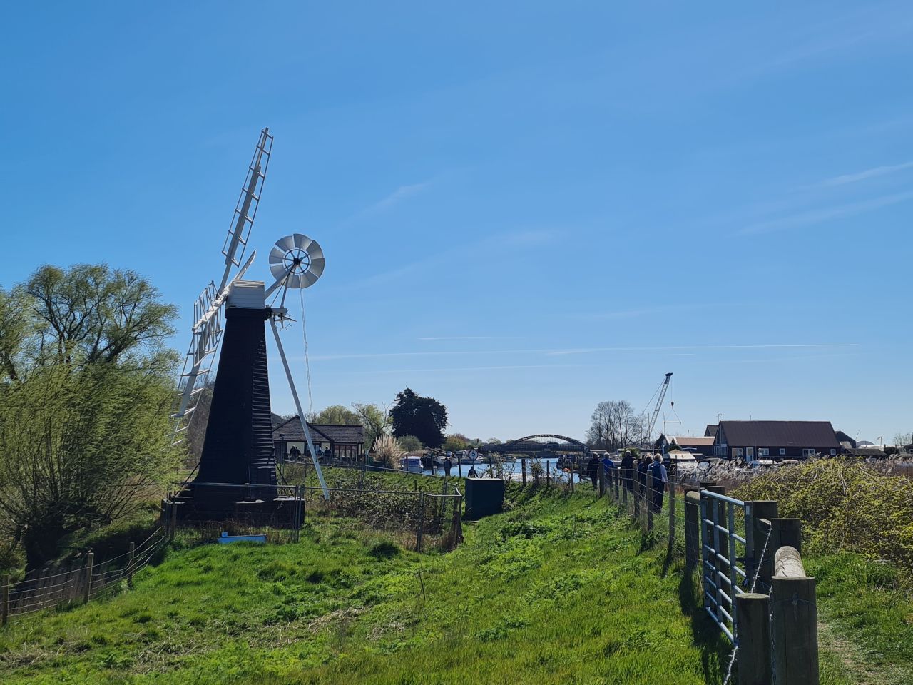 2025-04-06 74 Waveney Forest and Redwings.jpg