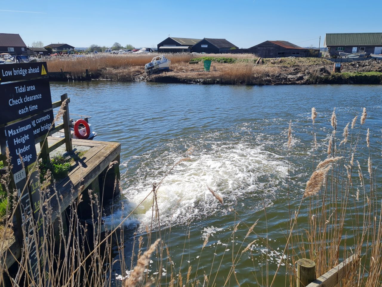 2025-04-06 75 Waveney Forest and Redwings.jpg