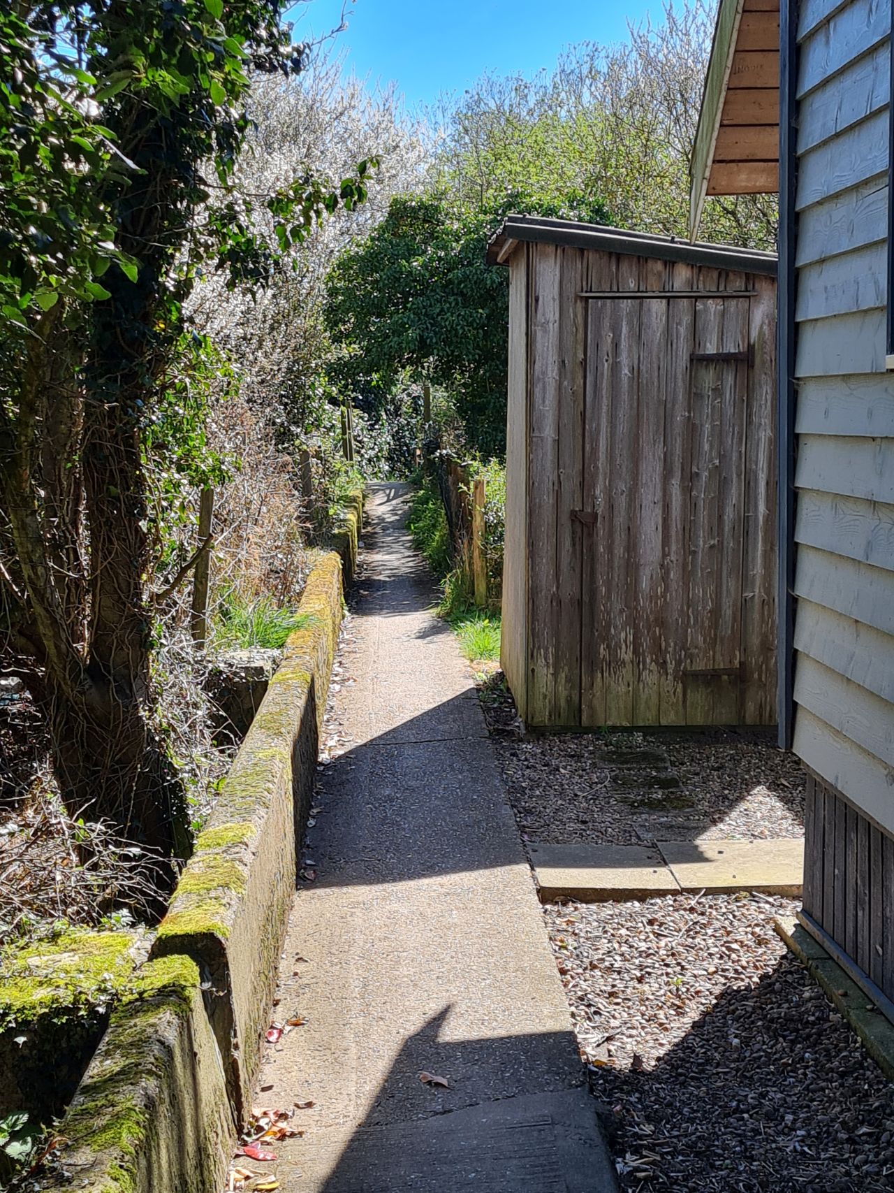 2025-04-06 77 Waveney Forest and Redwings.jpg