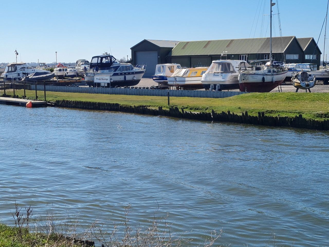 2025-04-06 78 Waveney Forest and Redwings.jpg
