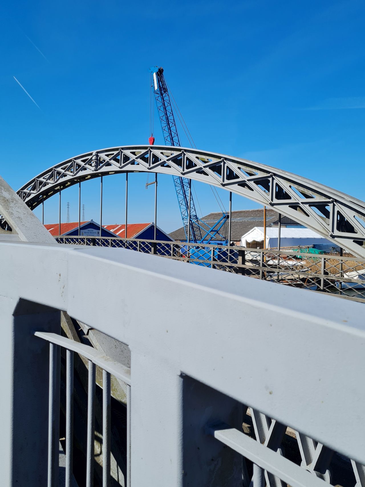 2025-04-06 79 Waveney Forest and Redwings.jpg