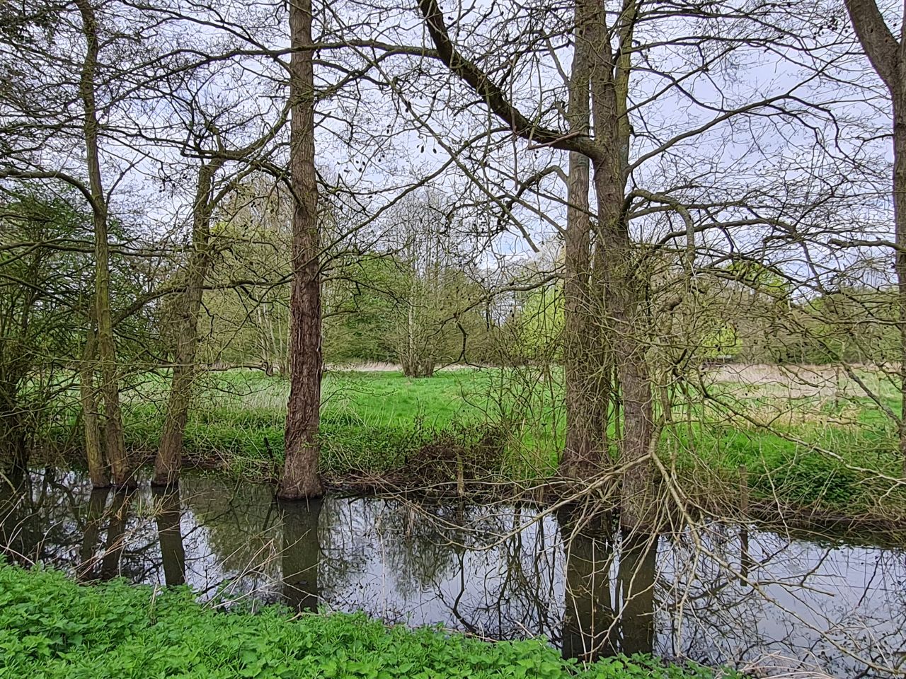 2025-04-24 08 Dagworth and Wetherden.jpg