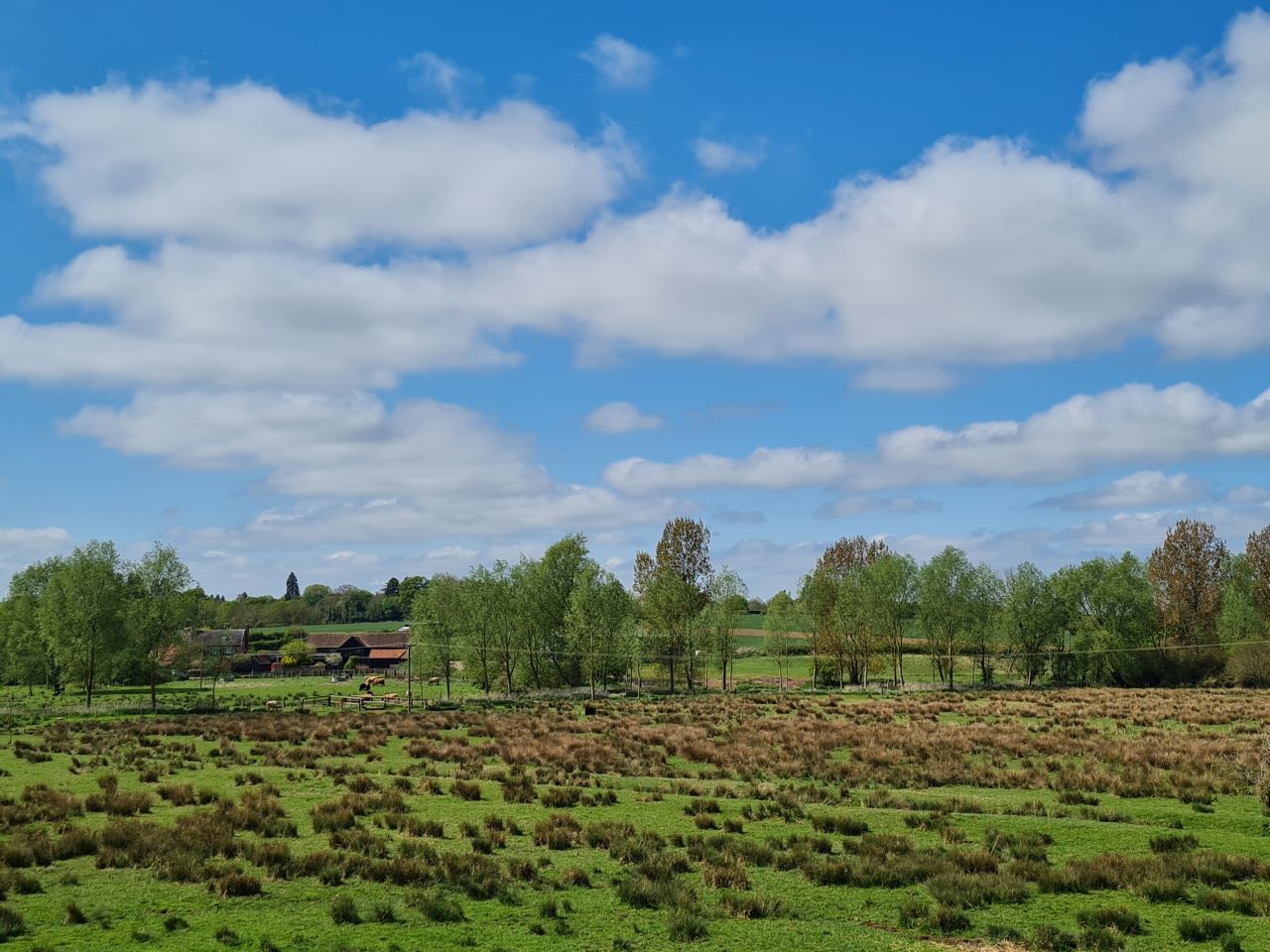 2025-04-24 34 Dagworth and Wetherden.jpg