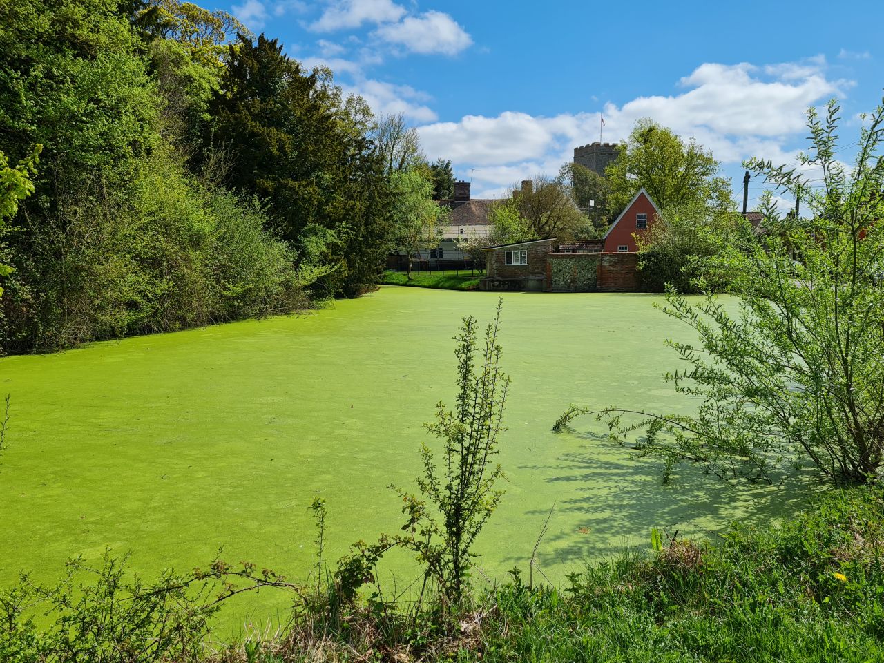 2025-04-24 38 Dagworth and Wetherden.jpg