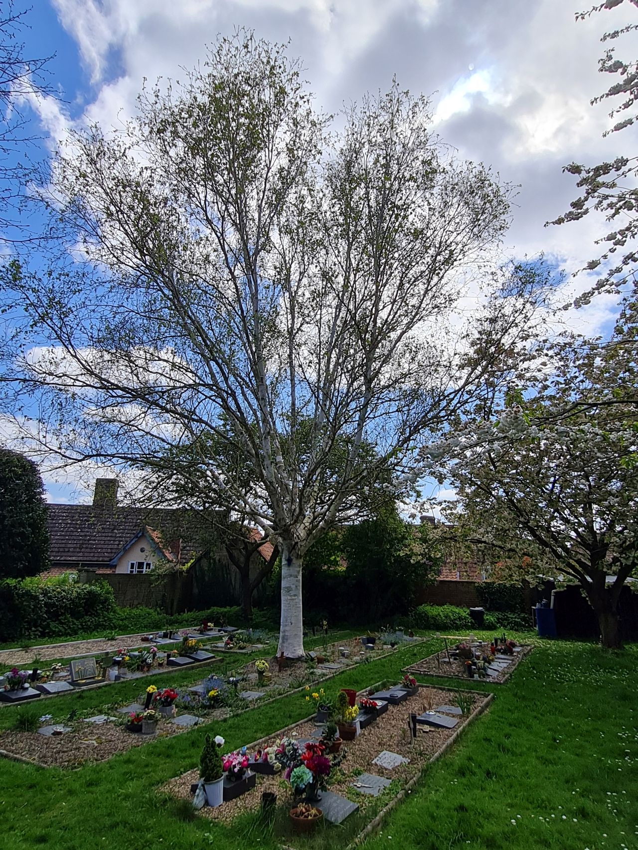 2025-04-24 44 Haughley Assumption of the BVM.jpg