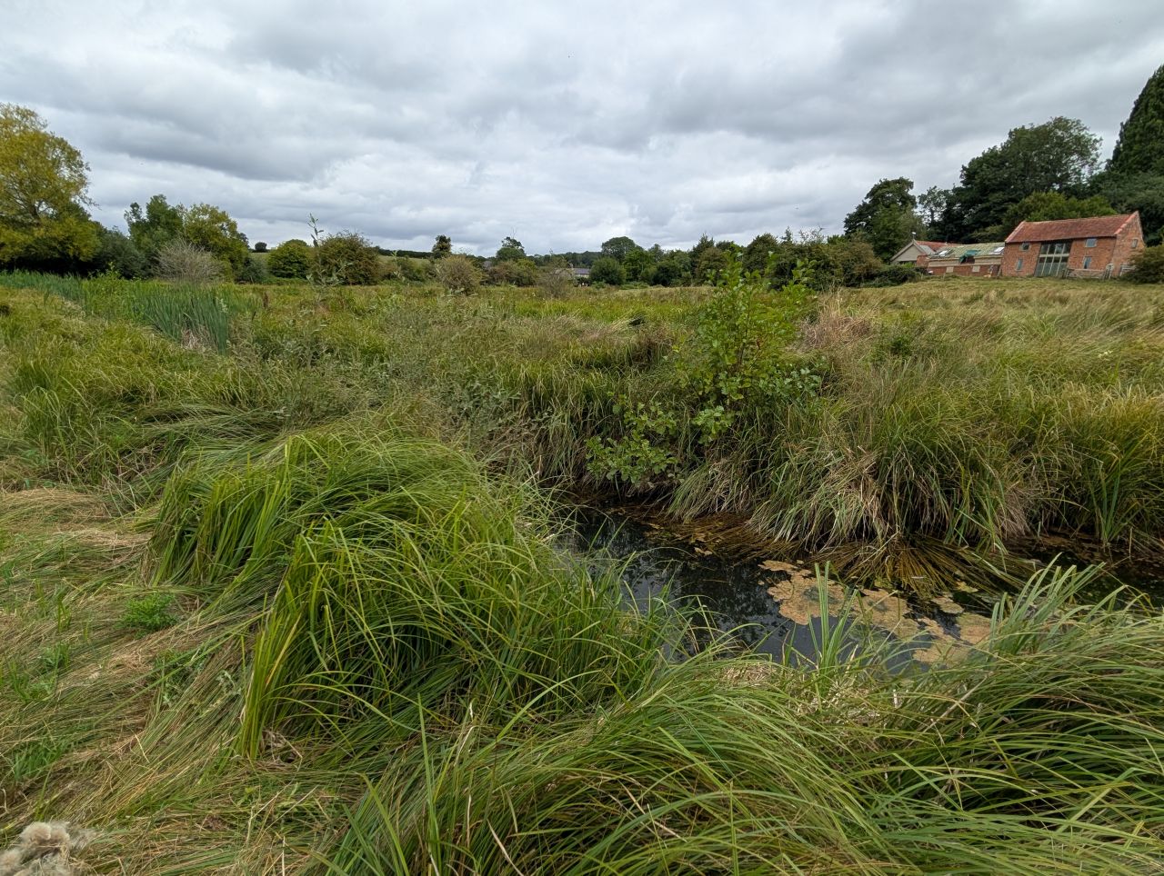 2025-08-21 15 Stoke Holy Cross and Shotesham.jpg