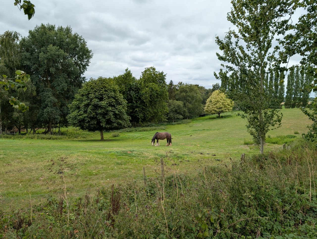 2025-08-21 17 Stoke Holy Cross and Shotesham.jpg