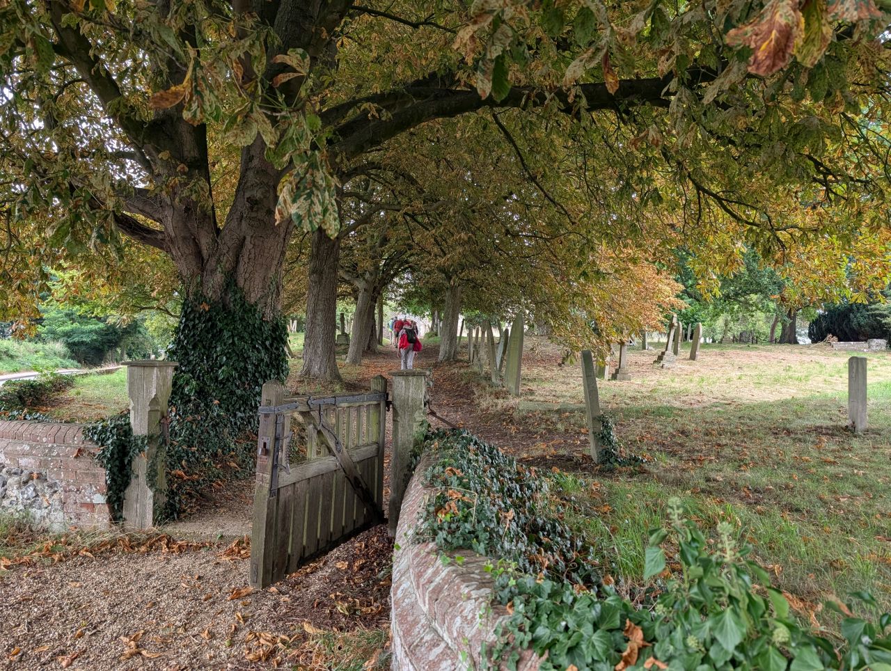 2025-08-21 19 Stoke Holy Cross and Shotesham.jpg