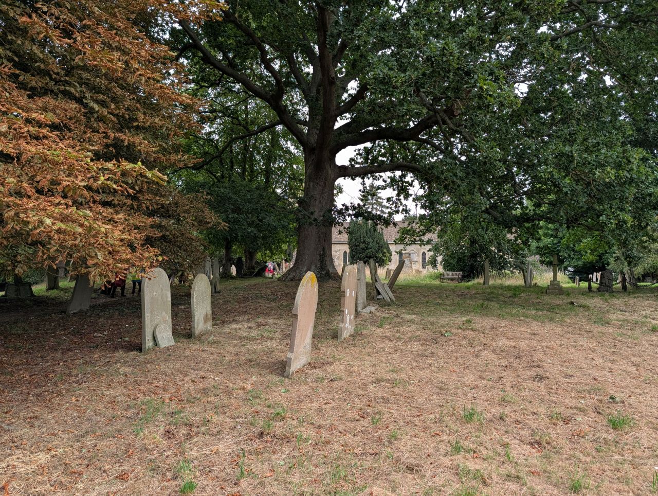 2025-08-21 20 Stoke Holy Cross and Shotesham.jpg