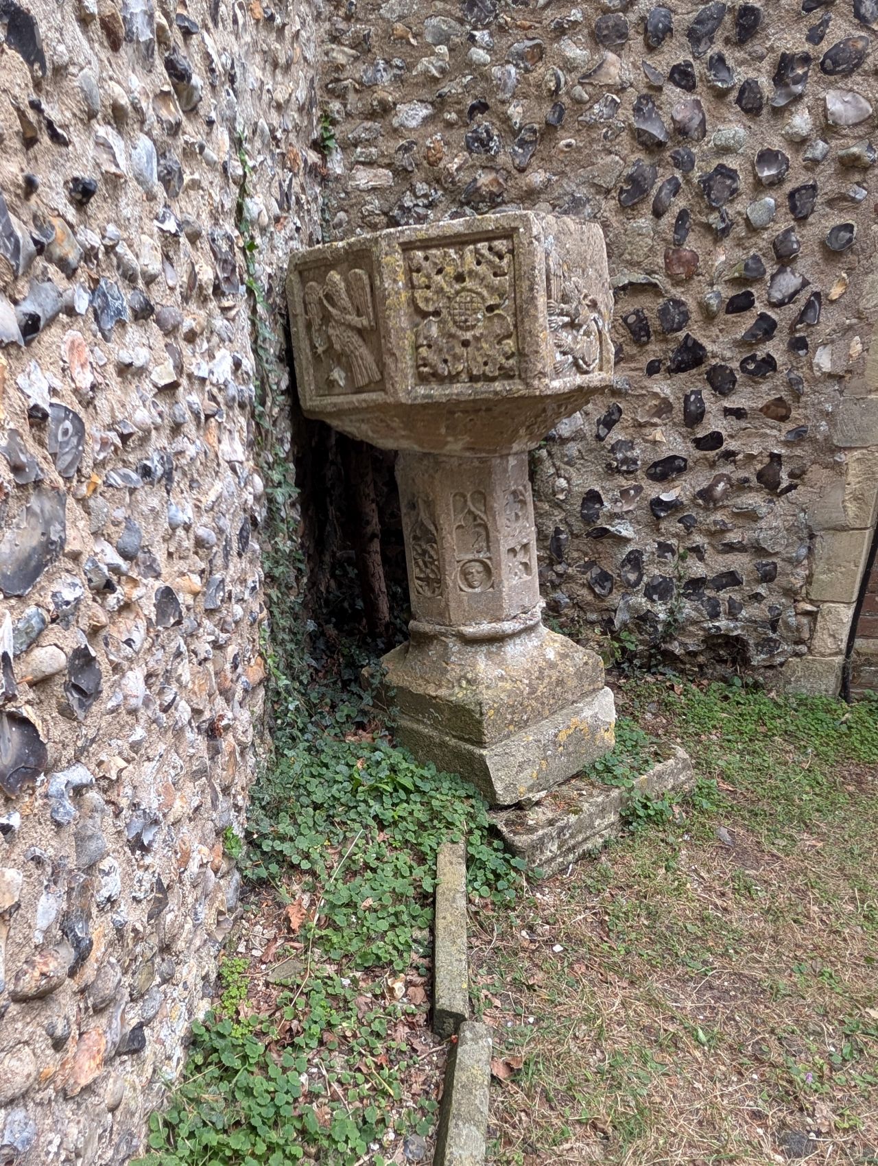 2025-08-21 28 Stoke Holy Cross and Shotesham.jpg