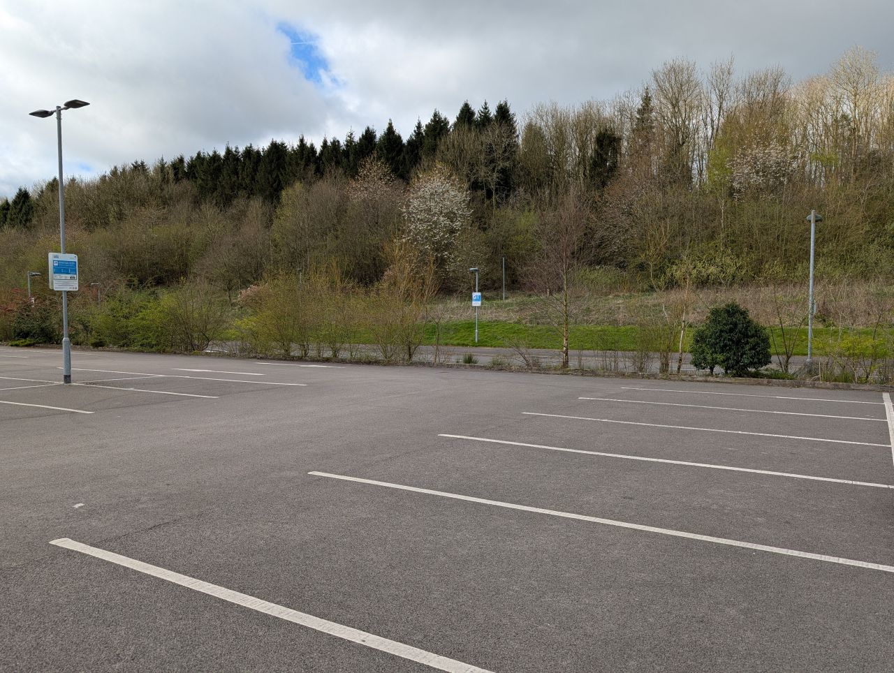 2026-04-05 02 Keele Cherry Blosson.jpg