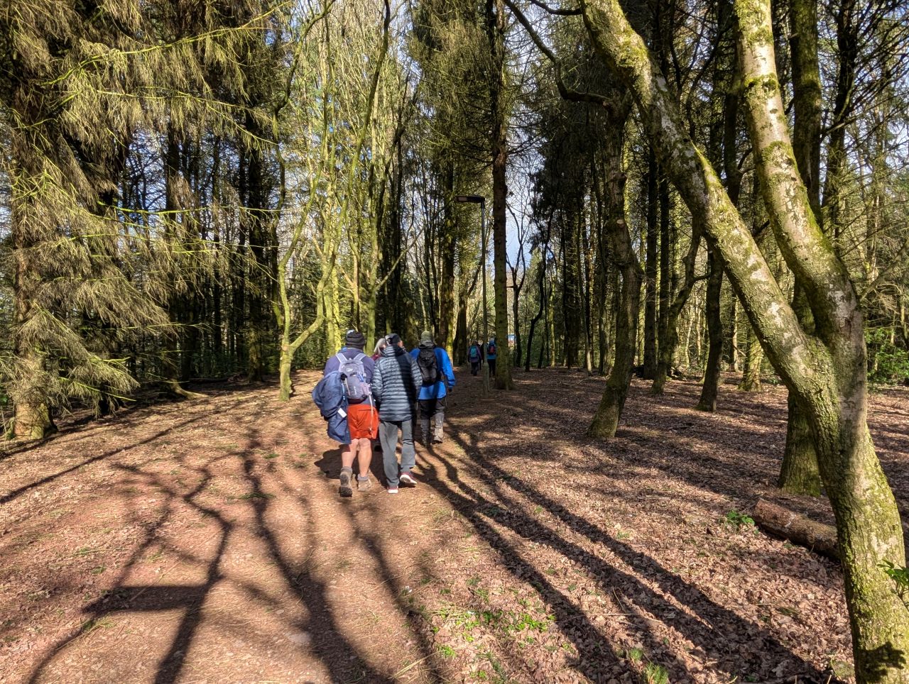 2026-04-05 06 Keele Cherry Blosson.jpg