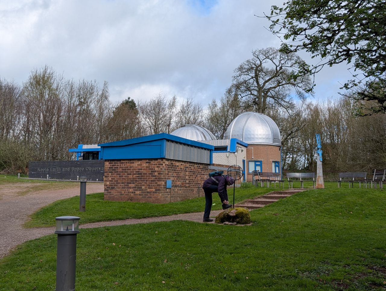 2026-04-05 07 Keele Cherry Blossom.jpg