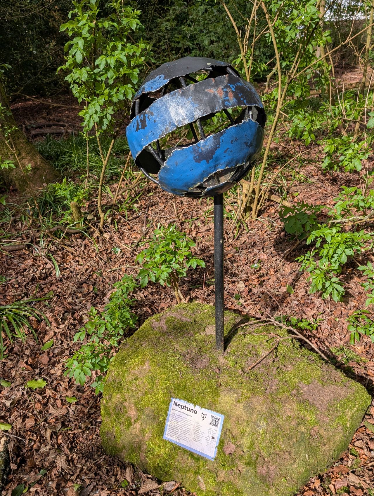 2026-04-05 10 Keele Cherry Blosson.jpg