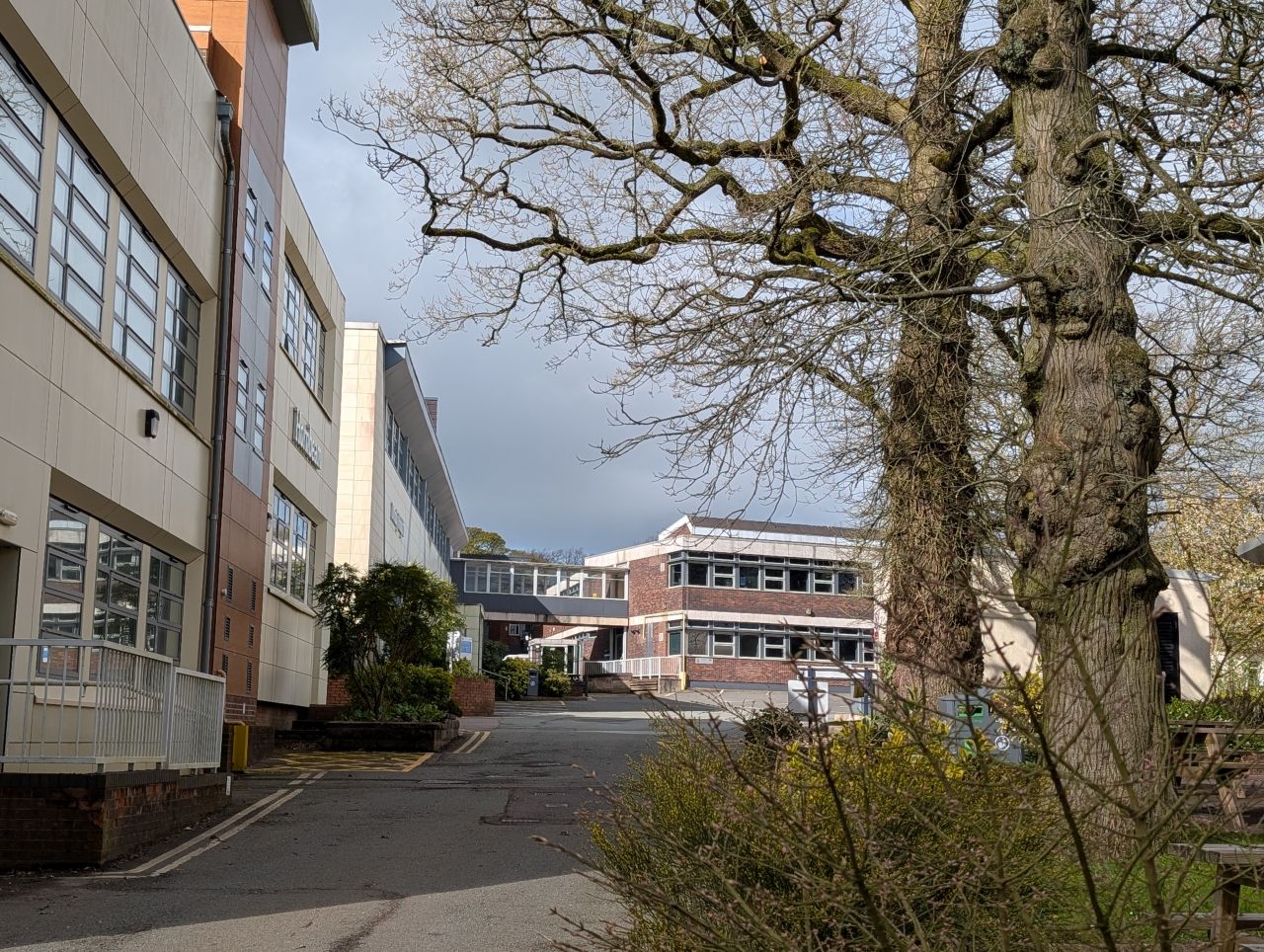 2026-04-05 27 Keele Cherry Blosson.jpg