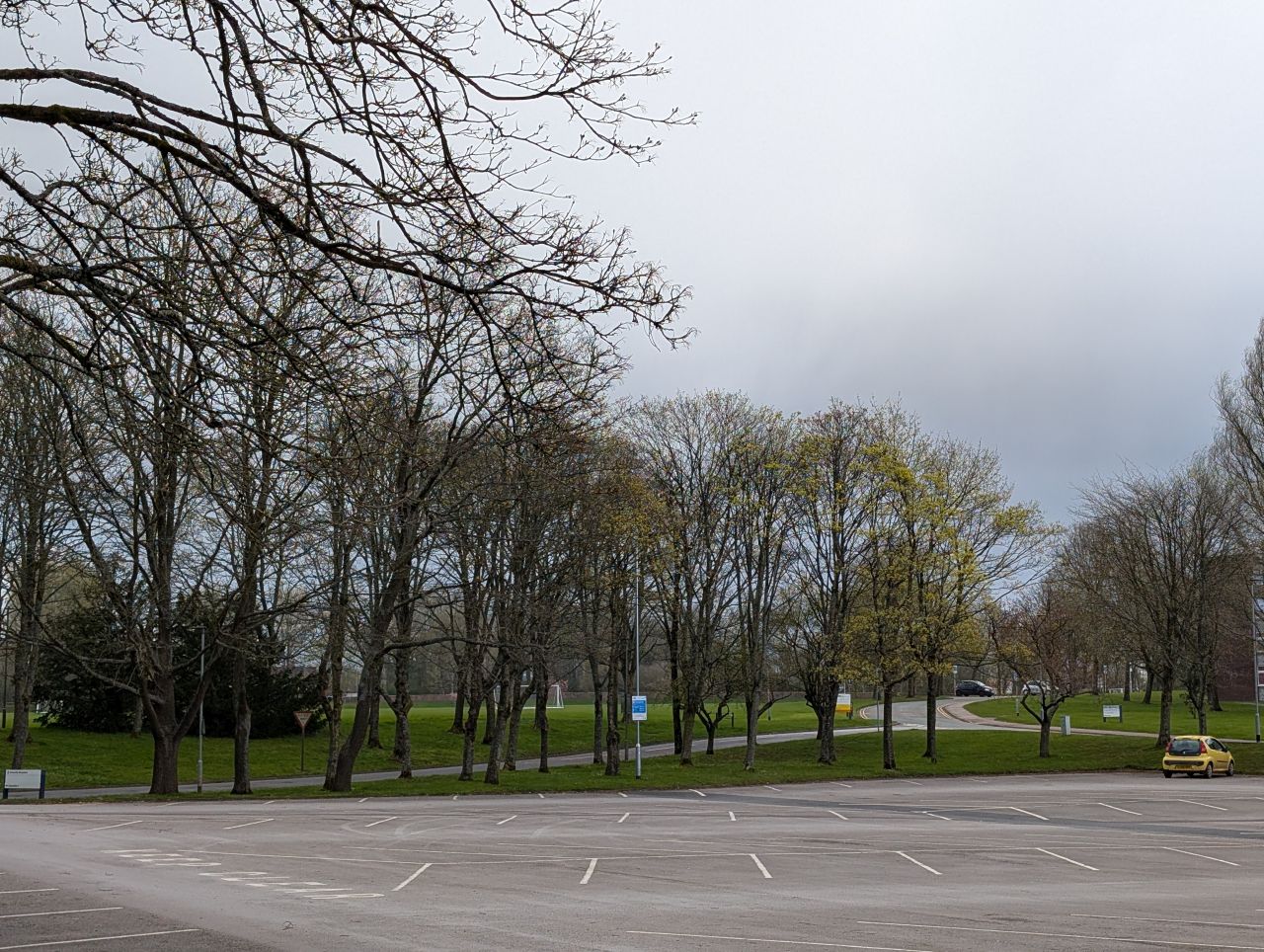 2026-04-05 32 Keele Cherry Blossom.jpg