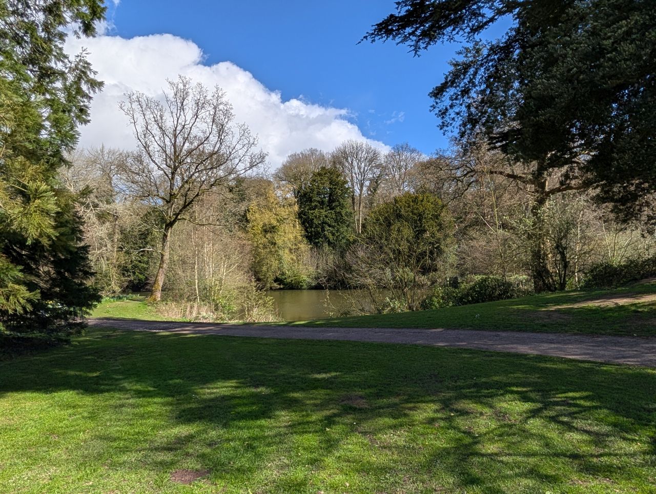 2026-04-05 69 Keele Cherry Blosson.jpg