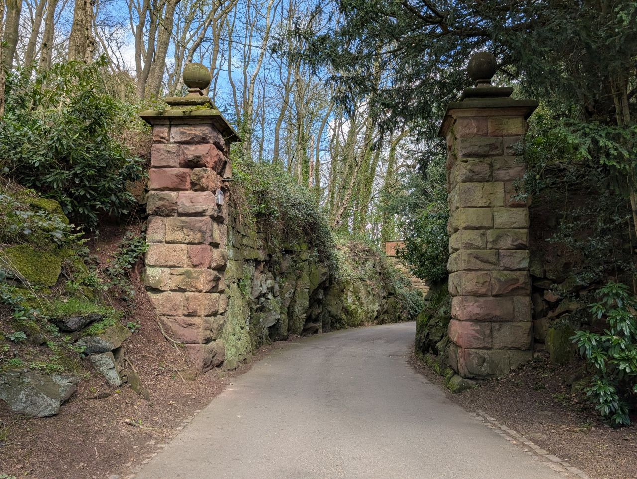 2026-04-05 84 Keele Cherry Blossom.jpg