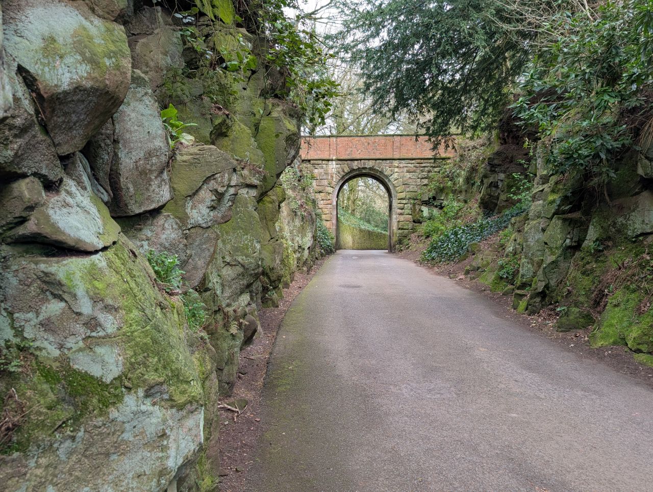 2026-04-05 85 Keele Cherry Blosson.jpg