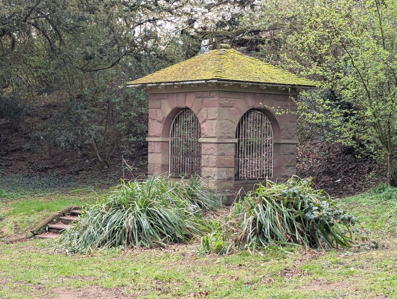 2026-04-05 89 Keele Cherry Blossom.jpg