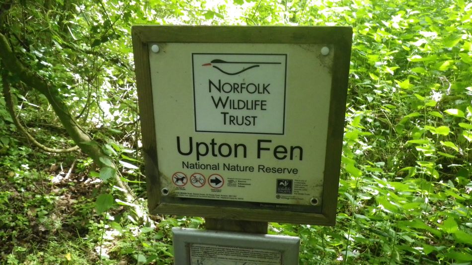 2017-06-03 03 Norwich Group at Acle.jpg