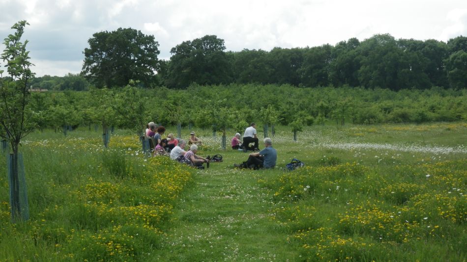 2017-06-03 08 Norwich Group at Acle.jpg