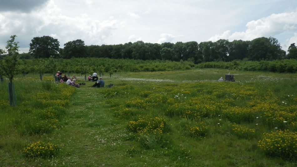 2017-06-03 09 Norwich Group at Acle.jpg